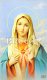 ImmaculateHeartOfMary